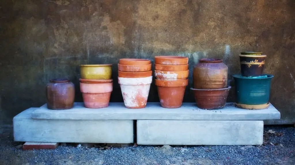 Can You Paint Terracotta Pots?