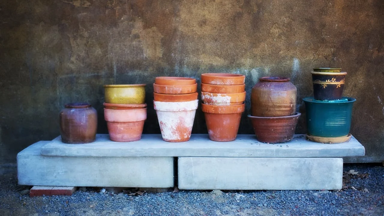 Can You Paint Terracotta Pots