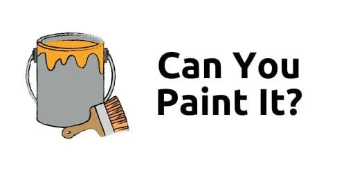 Can You Paint It?