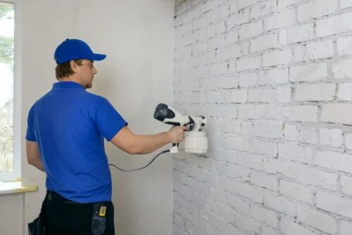 Paint Sprayer For Home